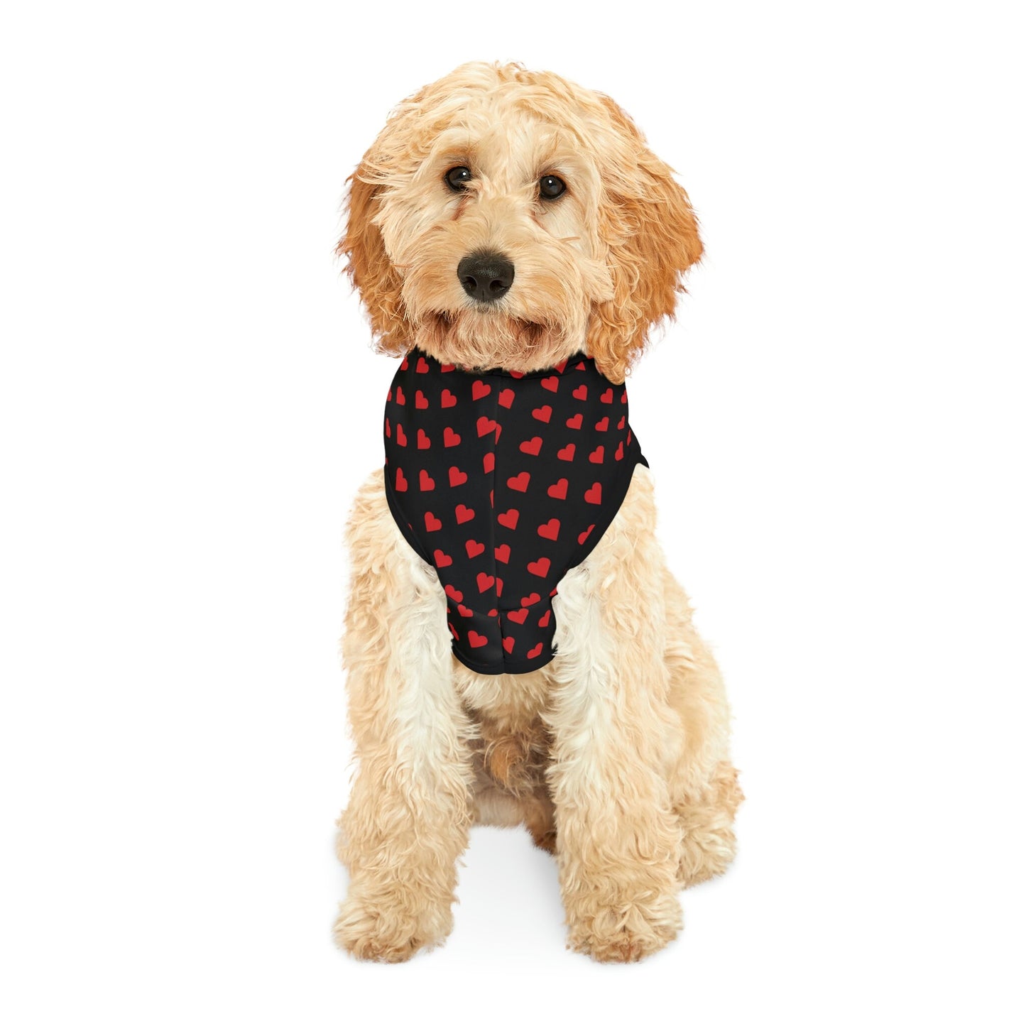 Dog Hoodies