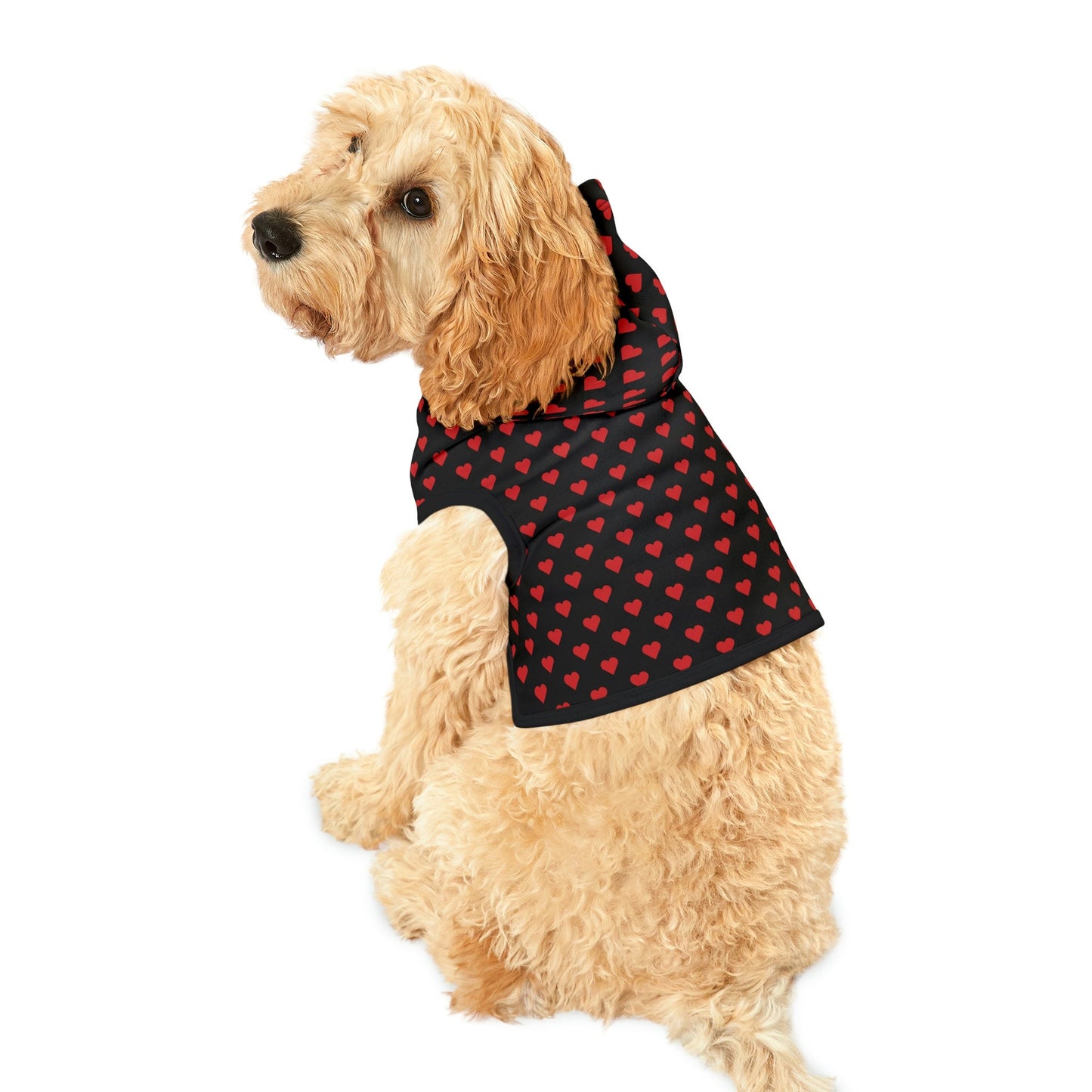 Dog Hoodies