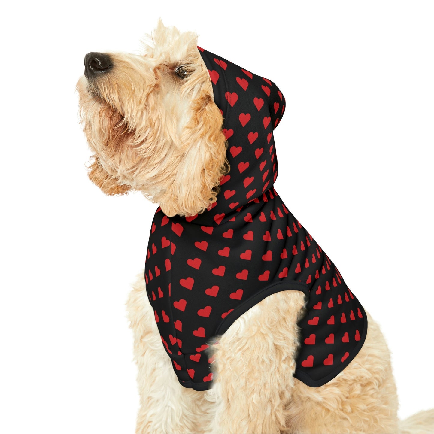 Dog Hoodies