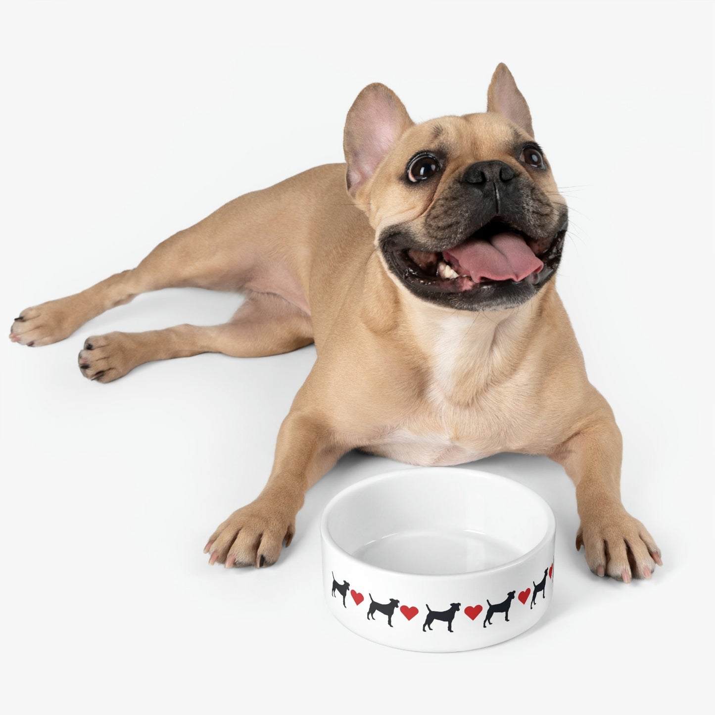 Dog Bowls