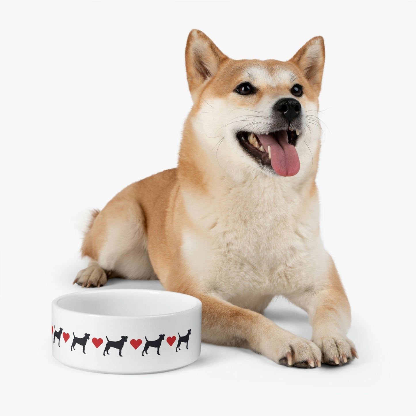 Dog Bowls