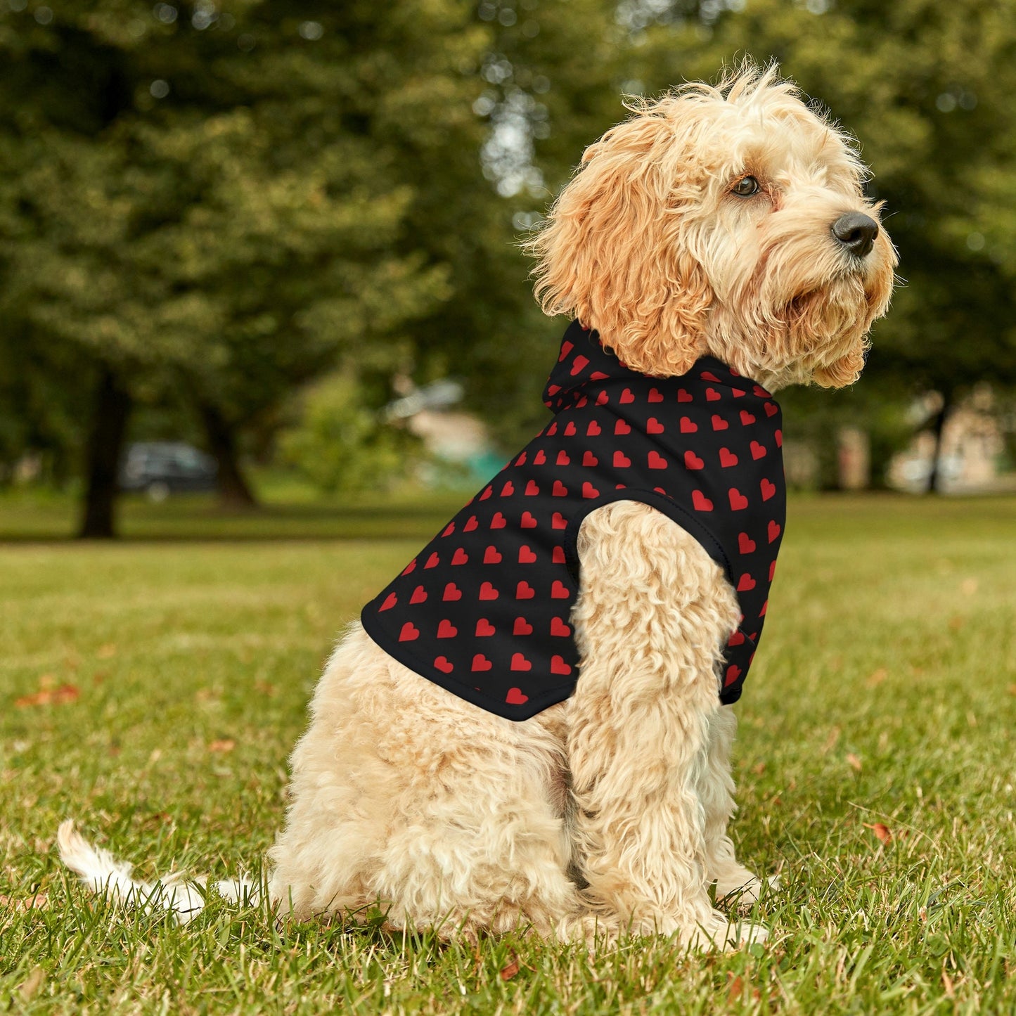 Dog Hoodies