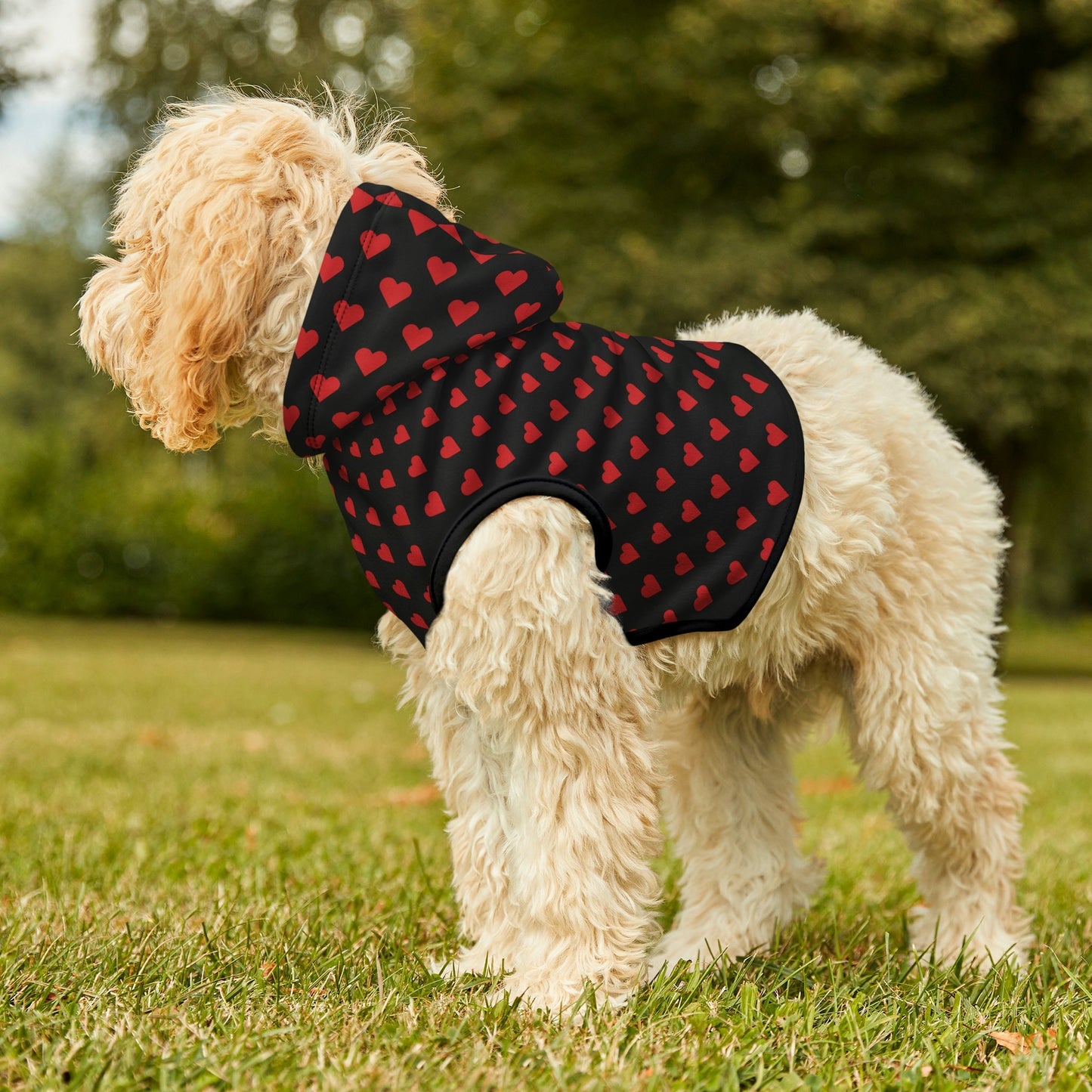Dog Hoodies
