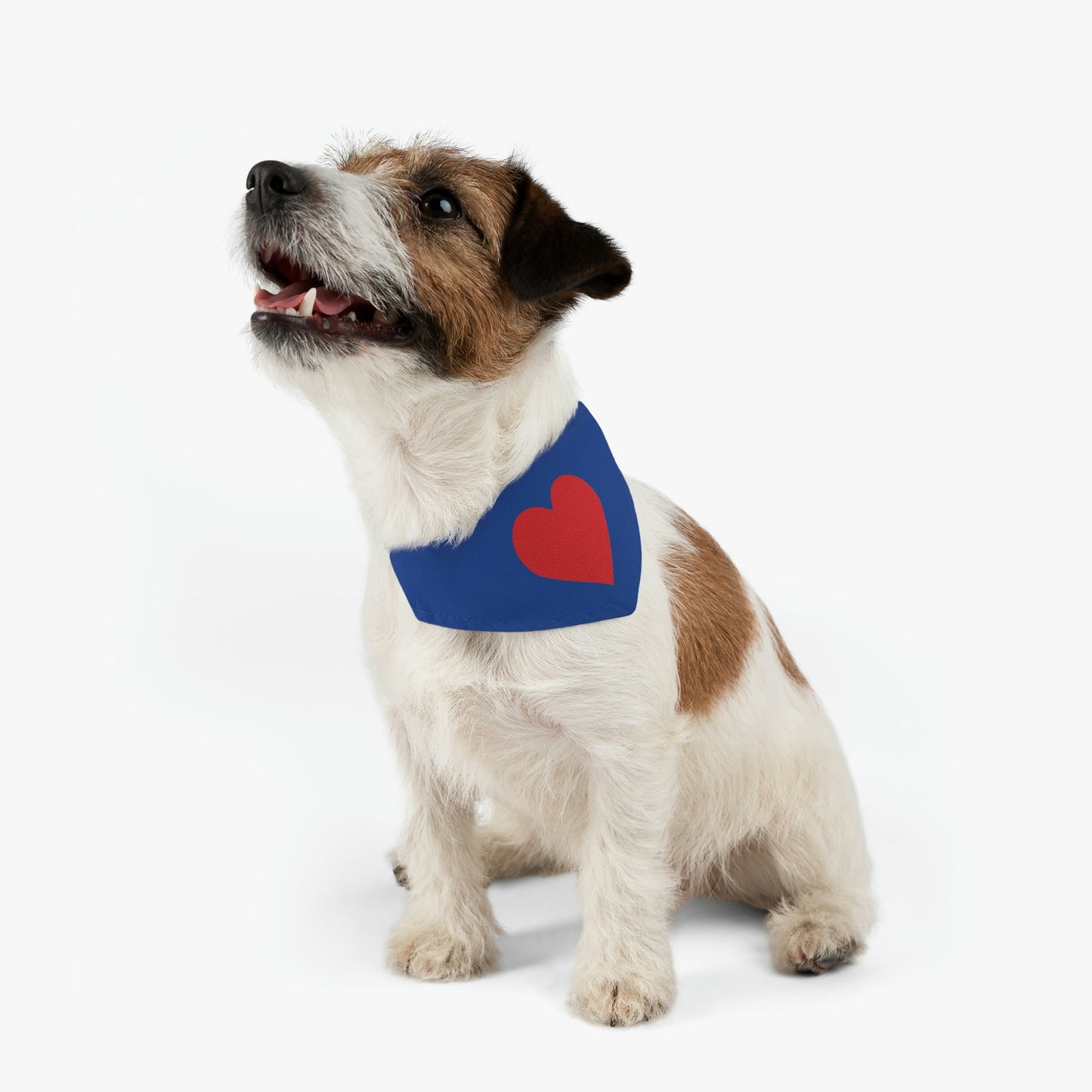 Pet Bandana Collars