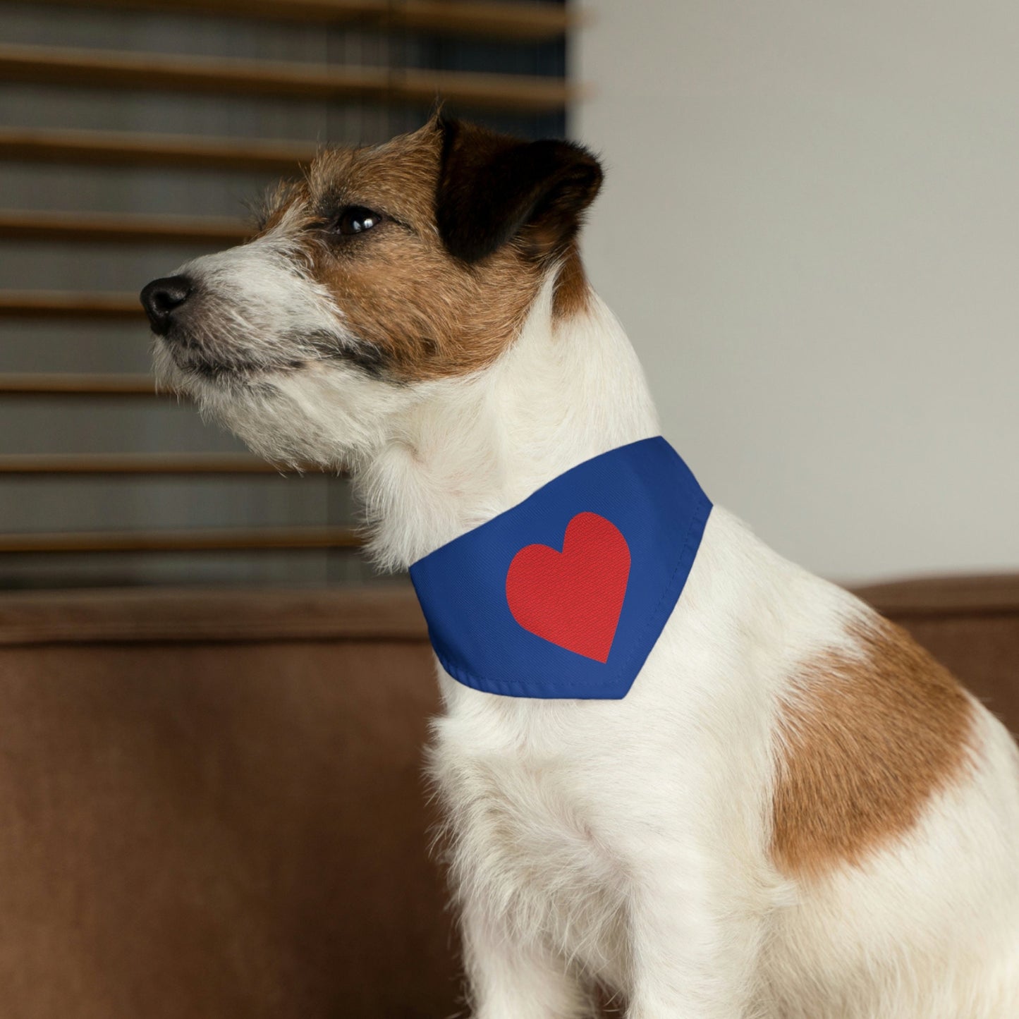 Pet Bandana Collars