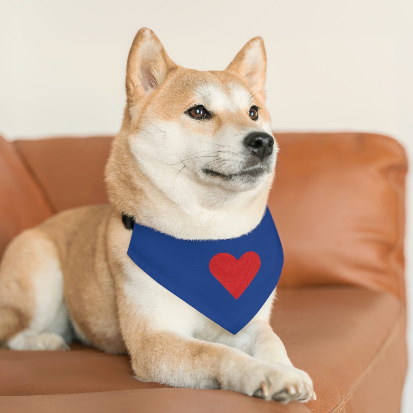 Pet Bandana Collars