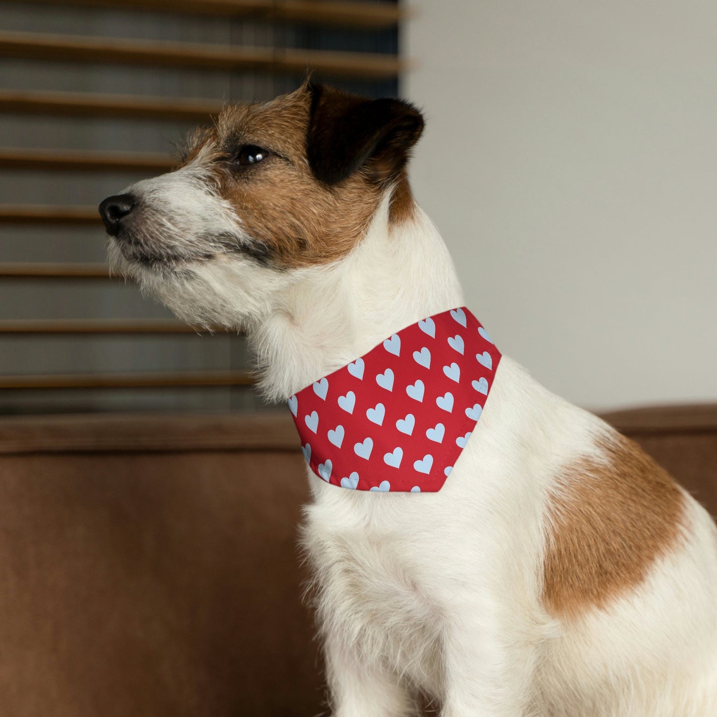 Pet Bandana Collars