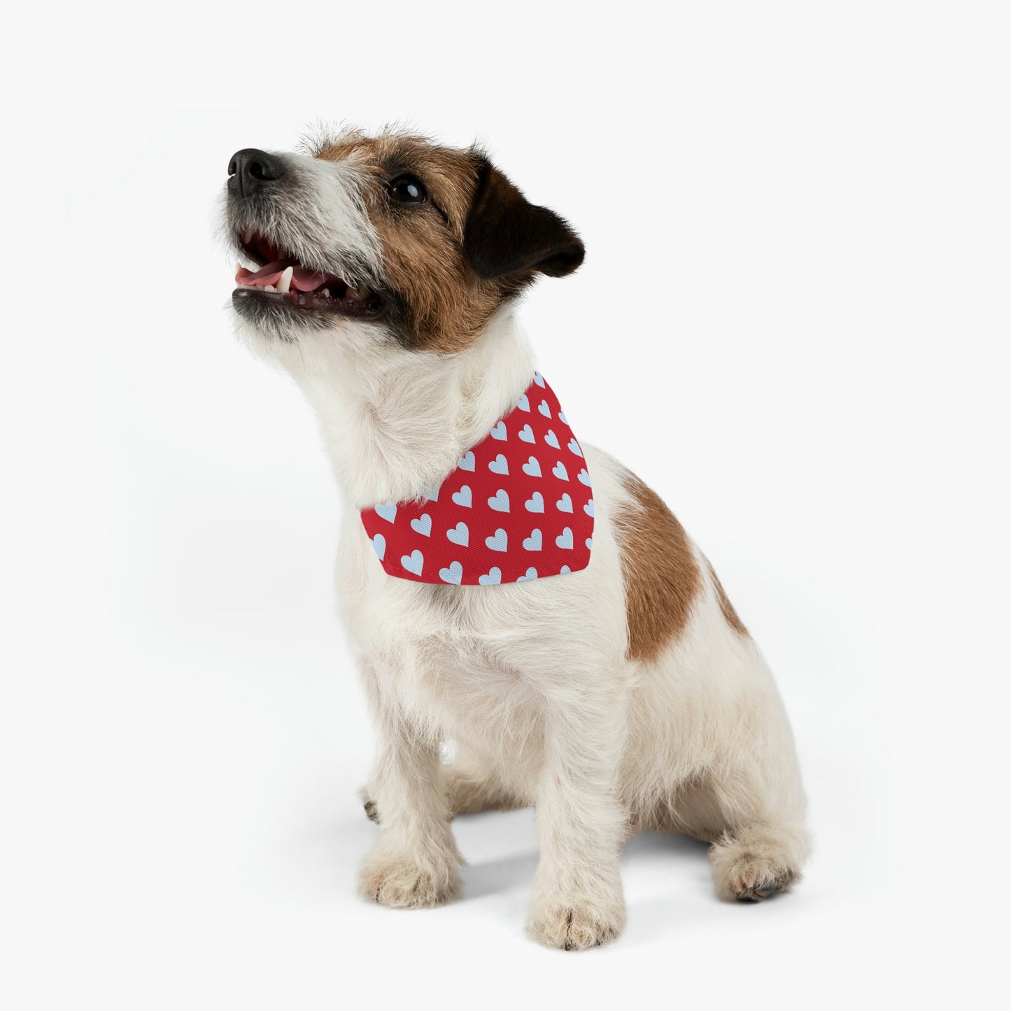 Pet Bandana Collars