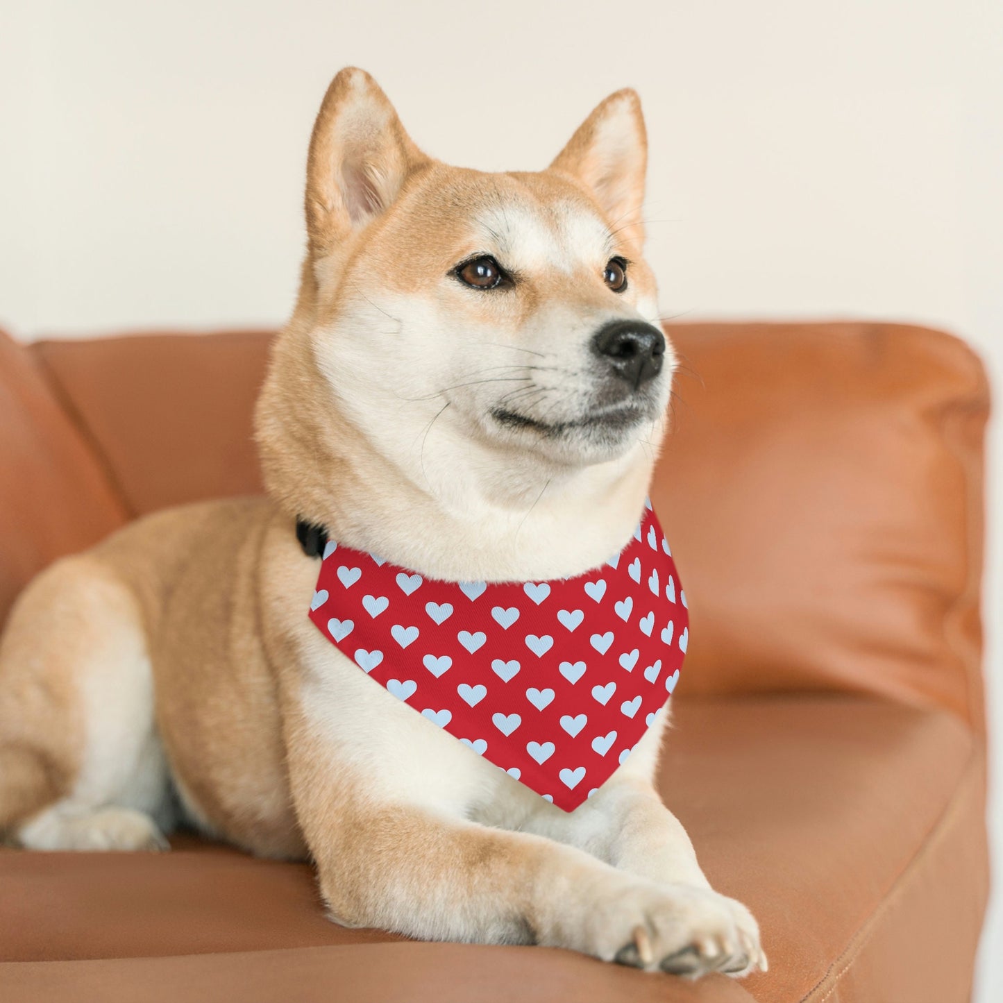 Pet Bandana Collars