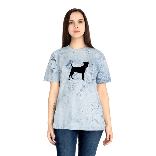 Black Dog Color Blast T-Shirt