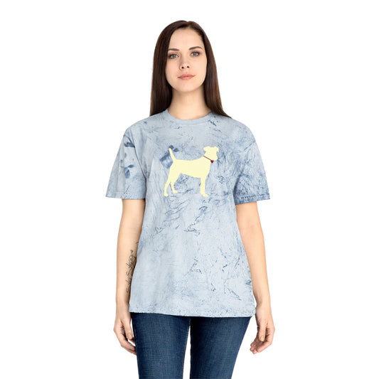 Yellow Dog Color Blast T-Shirt