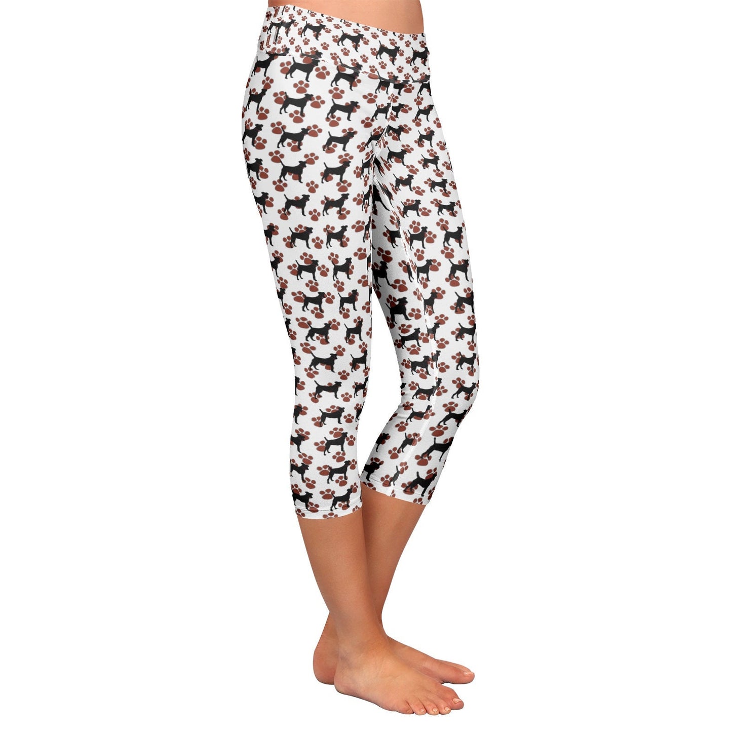 Black Dog Yoga Capri Leggings