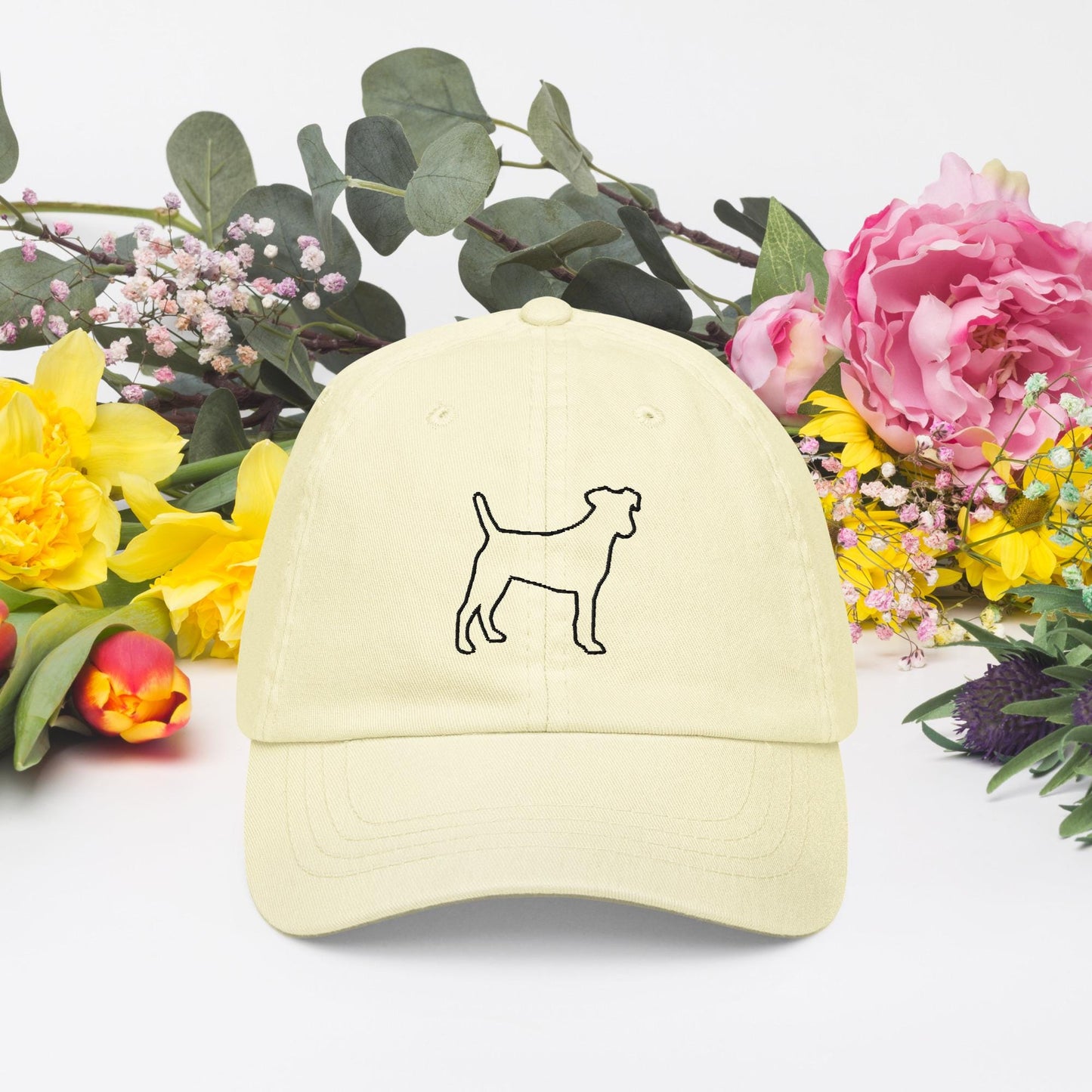 Pastel baseball hats black dog hats
