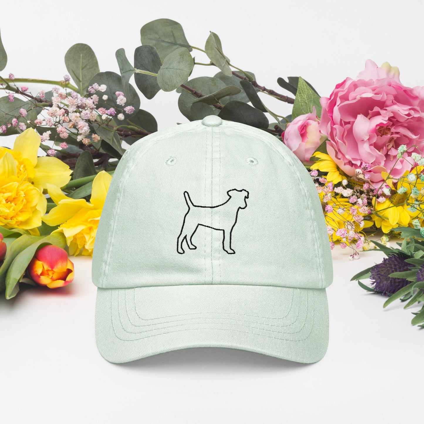 Pastel baseball hats black dog hats